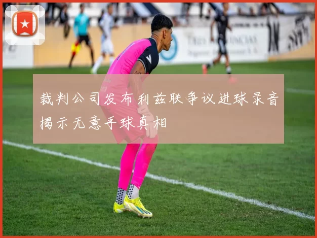 裁判公司发布利兹联争议进球录音揭示无意手球真相