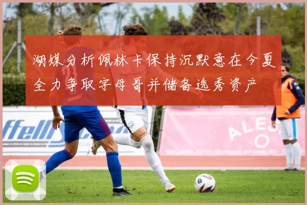 湖媒分析佩林卡保持沉默意在今夏全力争取字母哥并储备选秀资产